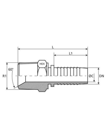 Dicsa BSPT Conexión Manguito 1/2'' x 1/2'' Macho Recta