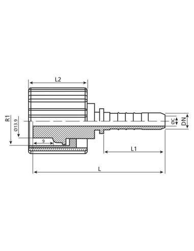 Dicsa métrica (Karcher) Conexión Manguito 3/8''...