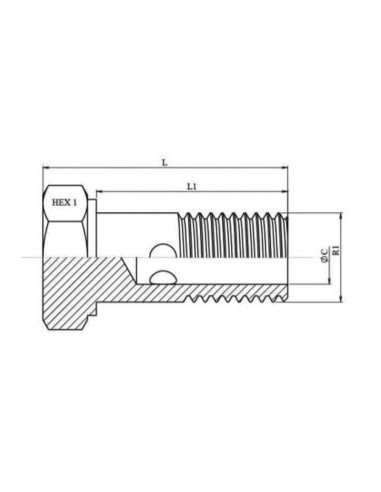 Dicsa métrica Tornillo Banjo M16 x 1.5