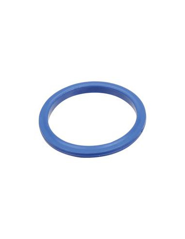 Dicsa SAE Flange Seal 1 1/4''