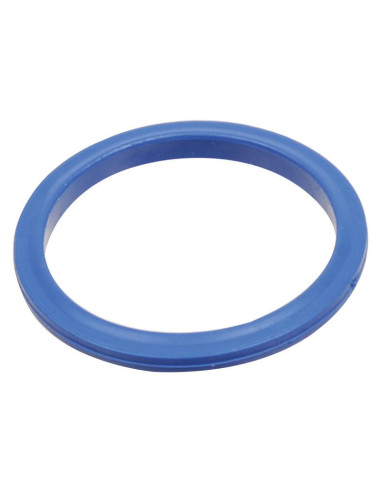 Dicsa SAE Flange Seal 1''