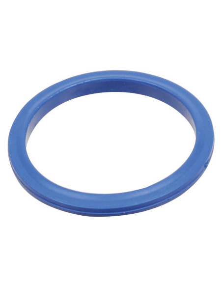 Dicsa SAE Flange Seal 1''