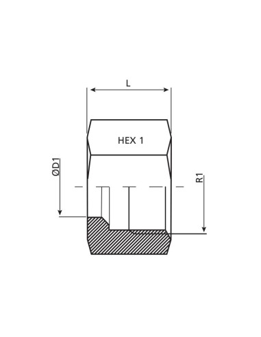 Dicsa Tuerca métrica M16 x 1.5 (10L)