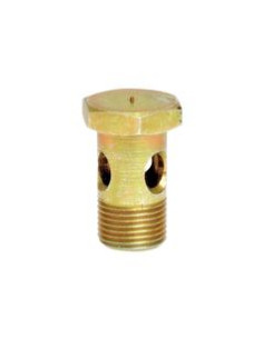 Tornillo banjo M10 x 1.00 - 19mm