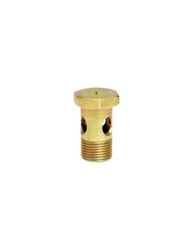 Tornillo banjo M10 x 1.00 - 19mm