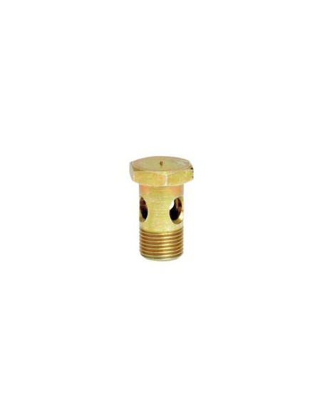 Tornillo banjo M10 x 1.00 - 19mm