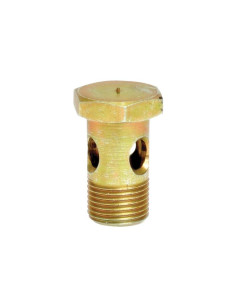 Tornillo banjo M10 x 1.00 - 19mm 2