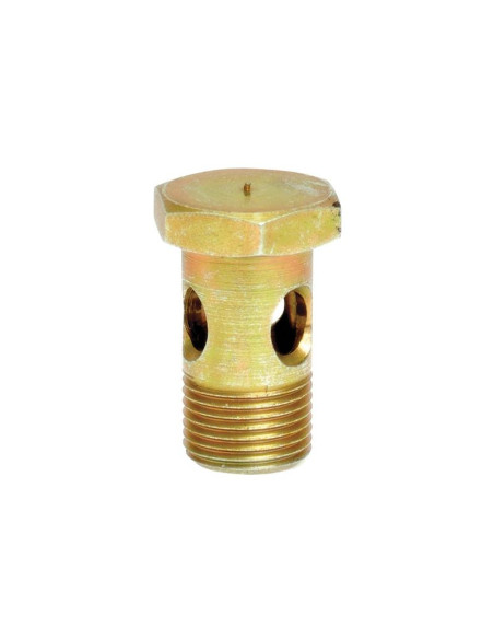 Tornillo banjo M10 x 1.00 - 19mm