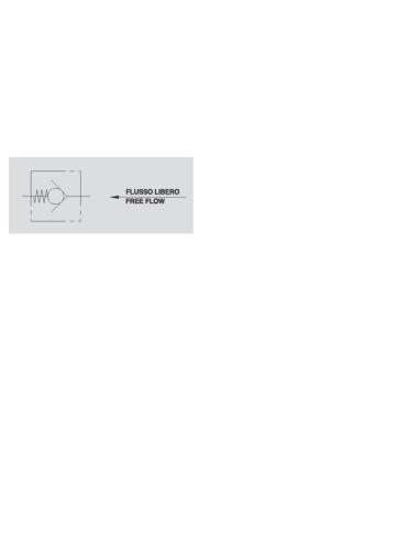 Faster Válvula Control en Línea 1/4'' BSP (17...