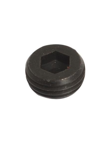 Sparex - Cerrado Centro Plug - Se ajusta a Sparex 3/8'' & 1/2'' Monoblock
