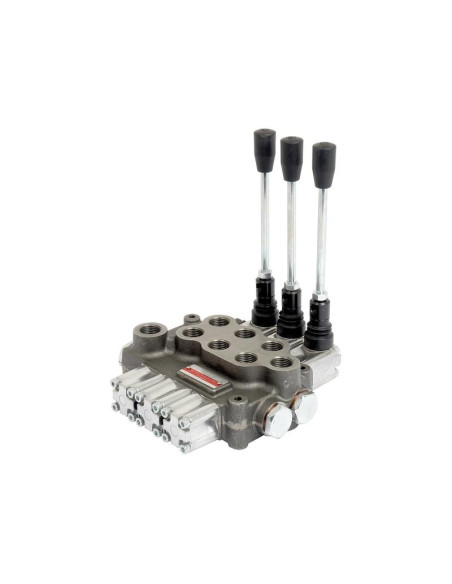 Sparex Válvula Monoblock Hidráulica 1/2'' BSP Puertos 3 BK (60 L/min Caudal)