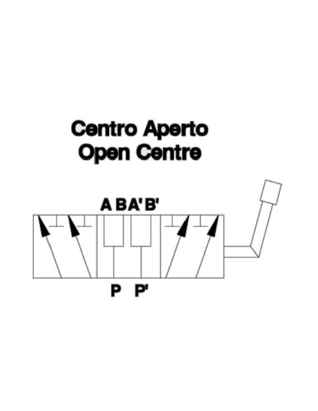 MARCHESINI Válvula Rotativa de Derivación 6 Vías 1/2'' BSP (90 L/min Caudal)