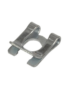 Grupilla Muelle (SL4) 2