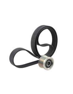 INA Kit de Polea y Correa - Alternador de Rueda Libre