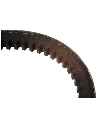 AV13 Correa - No. Correa AV13x1385