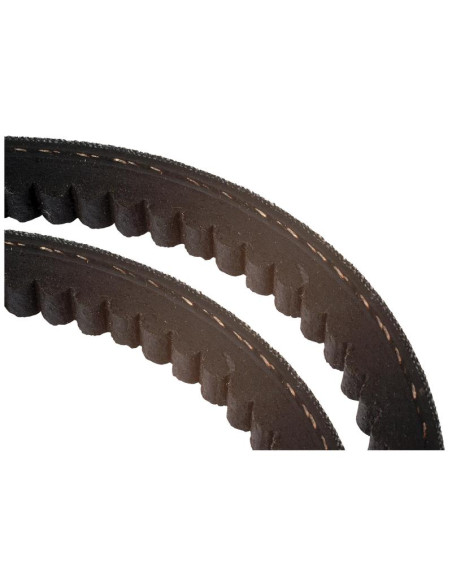 AVX Correa - No. Correa AVX10x1425 (Juego De 2)