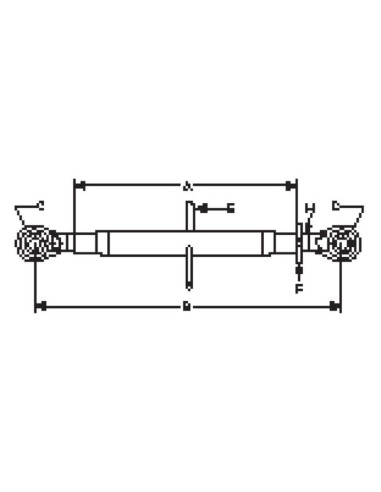 Tercer Punto (Cat.1/1) Rótula and Rótula, 1...