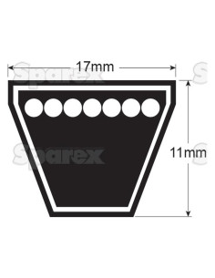 B Correa - No. Correa B38 2