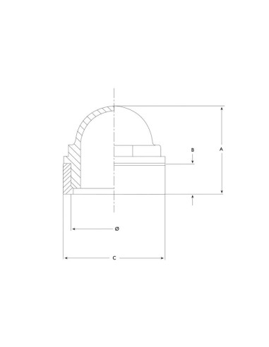 Cristal de Inspección Completo 2''