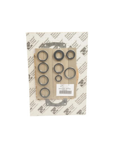 Kit de reconstrucción estándar Corresponde a: 6010201006 2