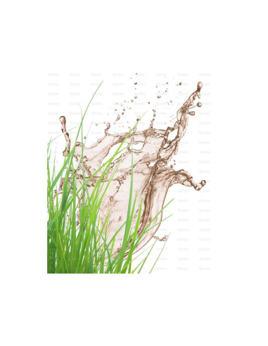 Manguera Depósito (Merlett Vacupress Flex),...