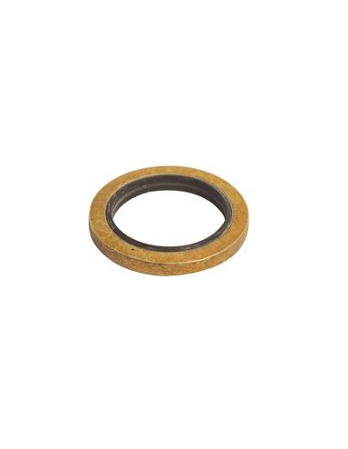 Sealing Gasket (Se ajusta a