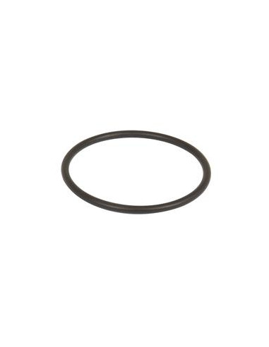 SEALING RING 58.74X3.53