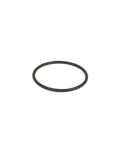 SEALING RING 58.74X3.53