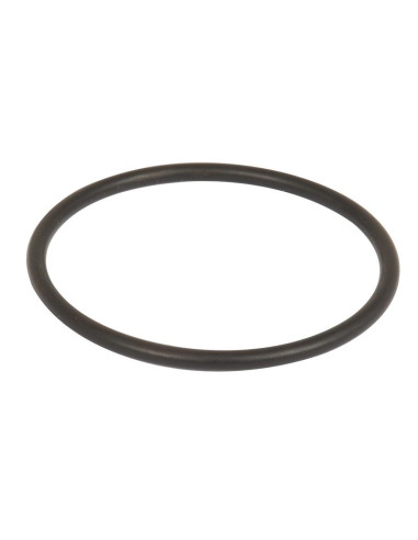 SEALING RING 58.74X3.53