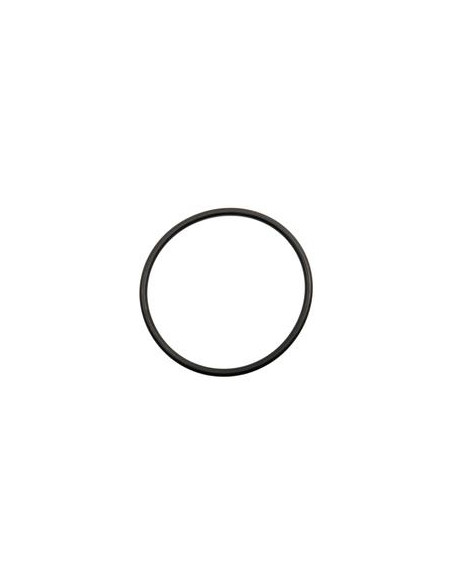 SEALING RING-129.5X6.99