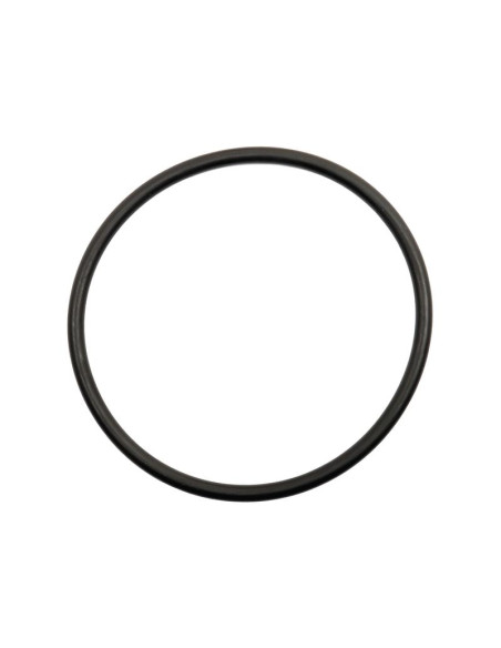SEALING RING-129.5X6.99