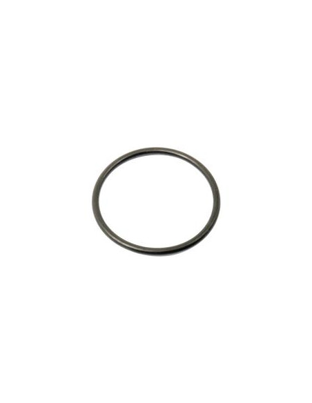 SEALING RING-75.6X5.34