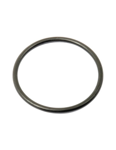 SEALING RING-75.6X5.34