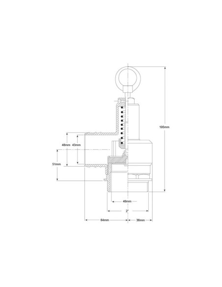 Válvula de seguridad 2''