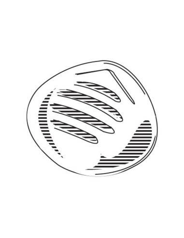 Mascarilla Para Polvo Sparex - FFP2 (Blister: 2...