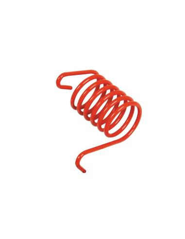 Muelle Dcho. Recambio para Fransgard...