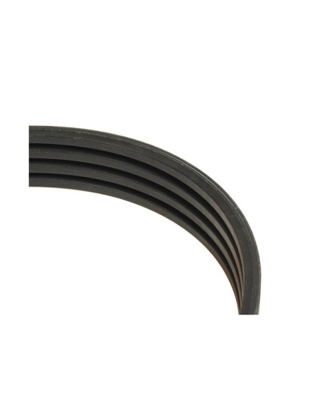 HB Correa - No. Correa 4HB1512 (Número de nervaduras: 4)