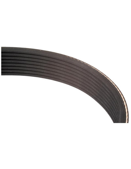 PK Correa - No. Correa 6PK1510