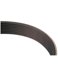 PK Correa - No. Correa 6PK1688