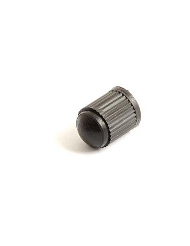 VALVE CAP METAL (10)
