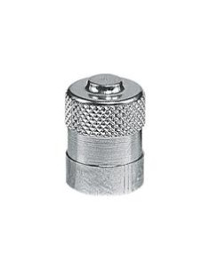 VALVE CAP METAL (10)