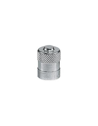 VALVE CAP METAL (10)
