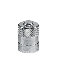 VALVE CAP METAL (10) 2