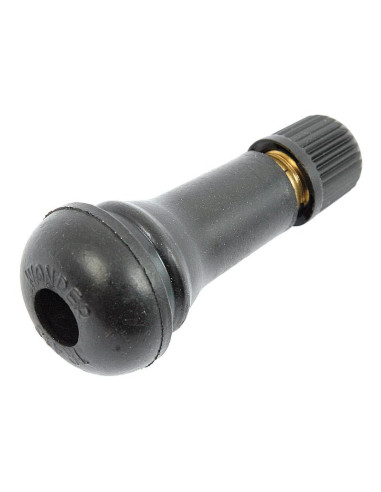 Valvulas De Reparacion Neumaticos (100 pzas.)...