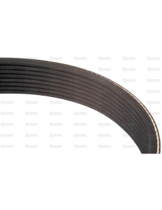 PK Correa - No. Correa 8PK1635