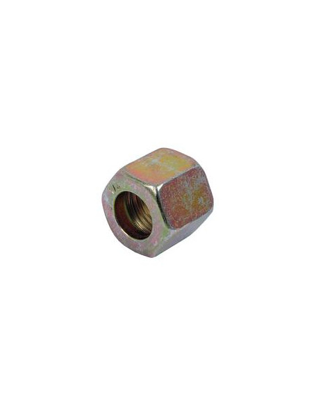 Union Nut 1/4'' BSP DN06