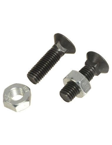 Tornillo Redondo Cuello Cuadrado - M10 x 35mm,...