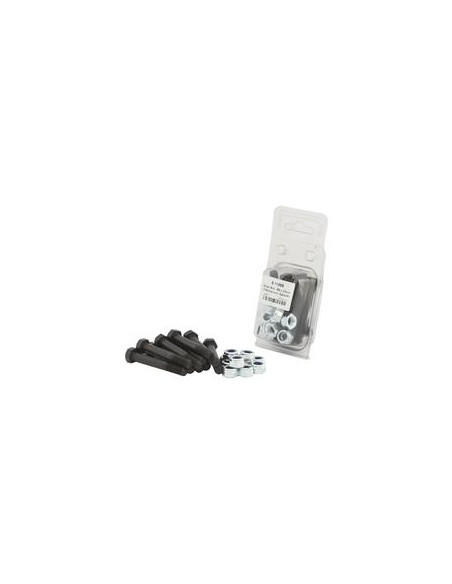 Tornillo Segur, M8 x 55mm (10 pzas. Blister)