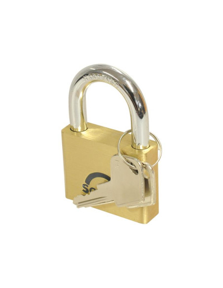 Squire Solid Brass Lion Range Padlock - Latón, Anchura del cuerpo: 51mm (Clasificación de seguridad: 4)