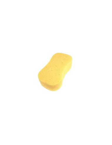 Sponge - Jumbo Car